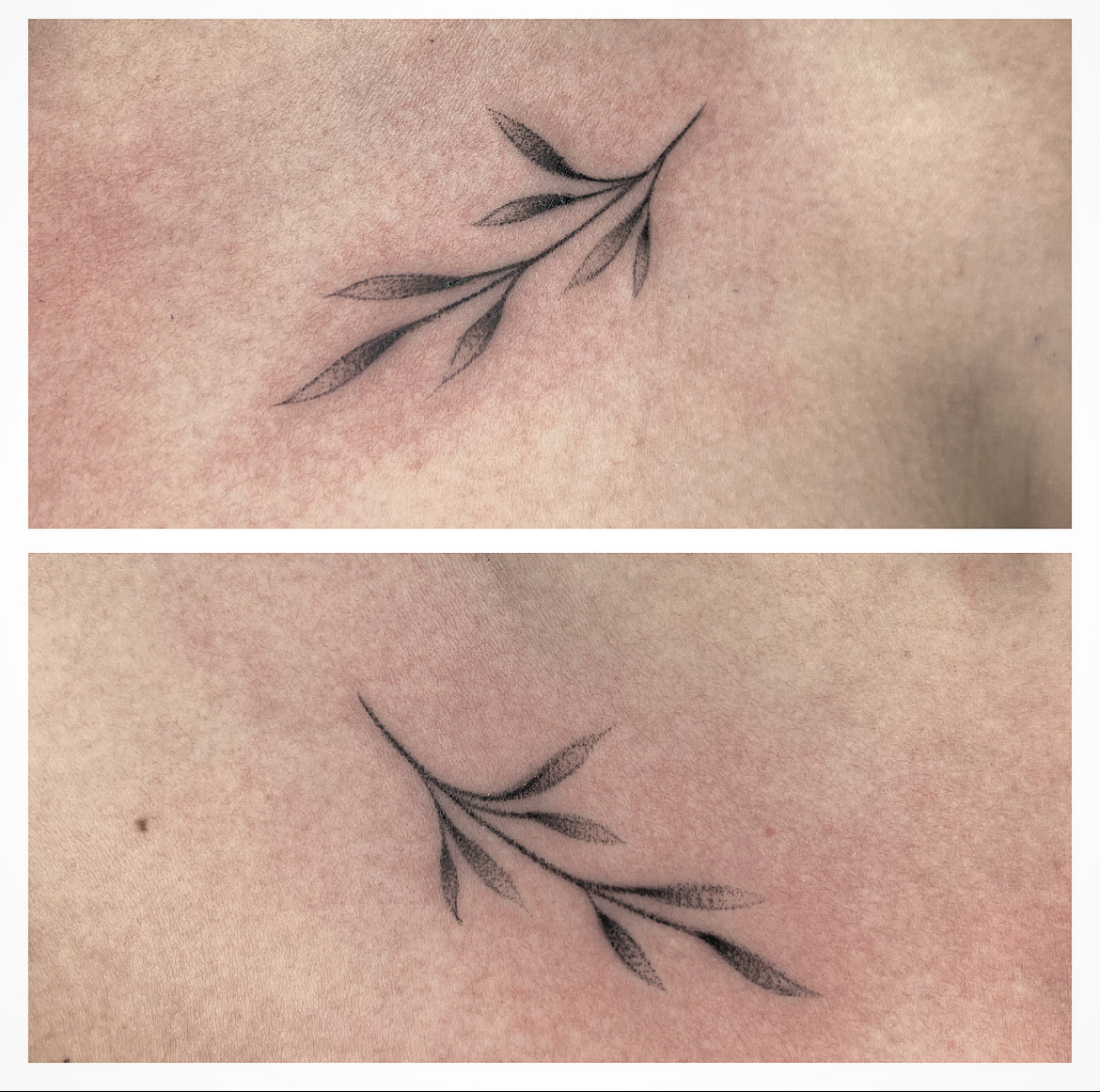 tatuaje de rama minimalista en linea fina